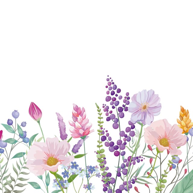 Motiv Blumenwiese